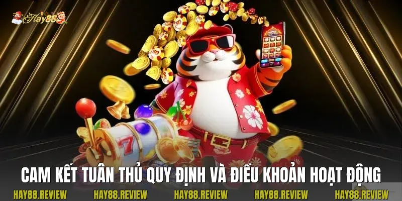 Cam kết tuân thủ quy định và điều khoản hoạt động